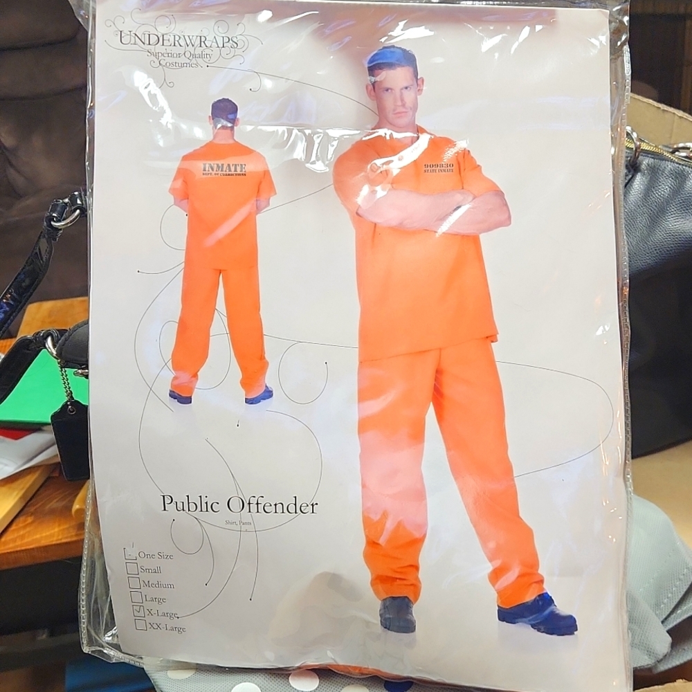 Public offender orange halloween costume